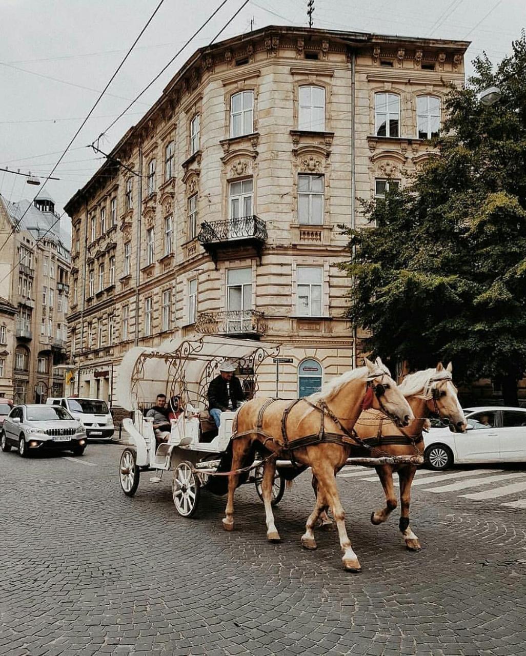 Staroevreyskaapart Lviv Ngoại thất bức ảnh